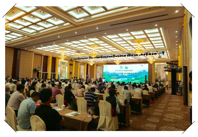 1561958034488841A53A.png image.png